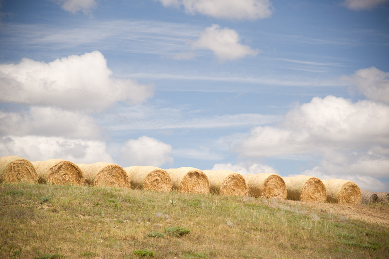 Row of hay bales on a grassy field with a blue sky and clouds.