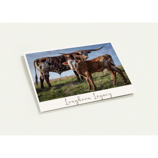 61ace85d-8be5-4863-8e75-a733f8a85426