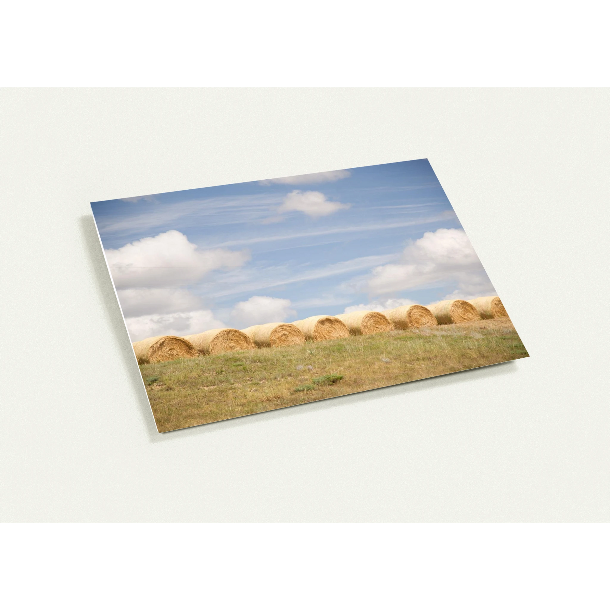 74037cac-154b-46ed-8654-50e1f4732099