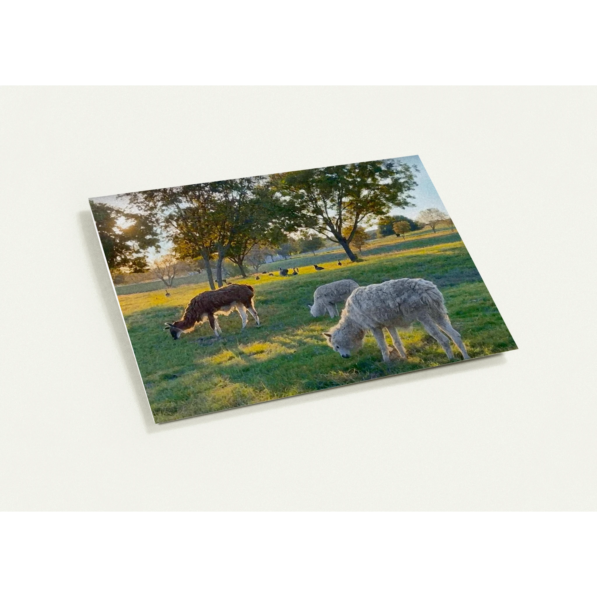 c518c72d-3769-401b-991f-5403c2a449e4