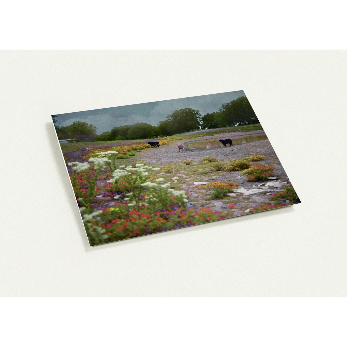 c87ffdab-d889-4c67-8412-4f243df34e04